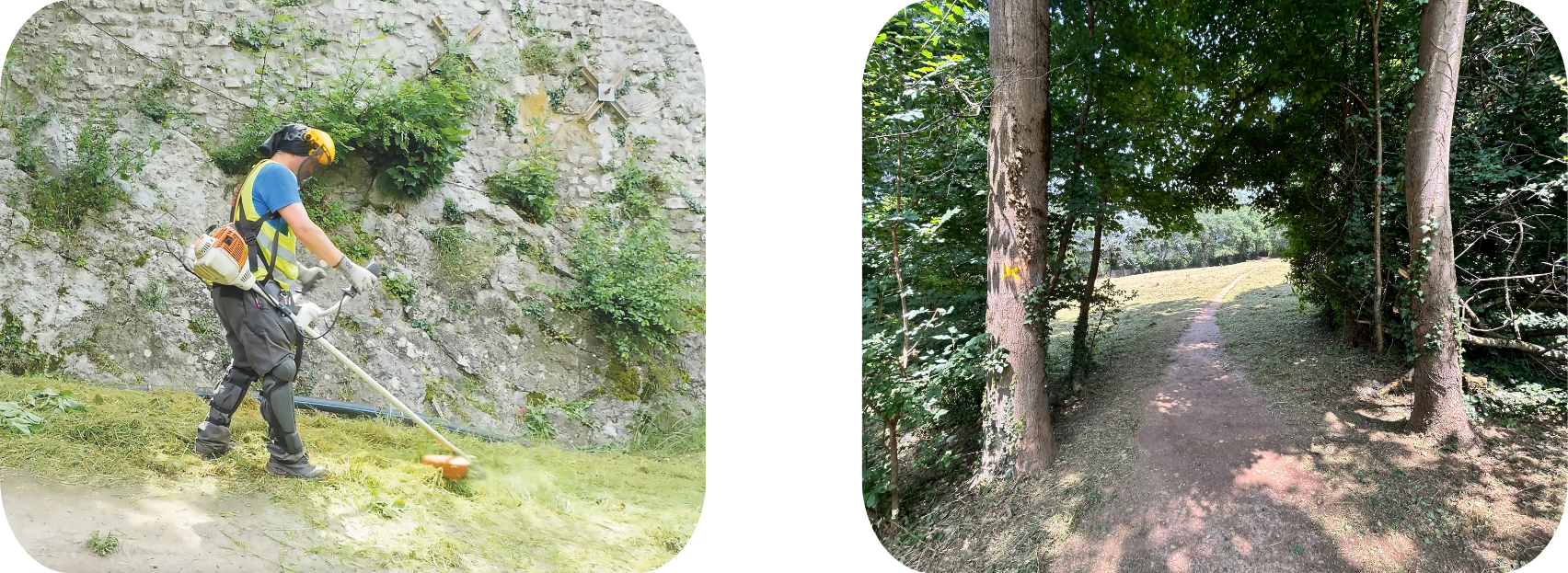 Entretien des espaces verts de la Bastille